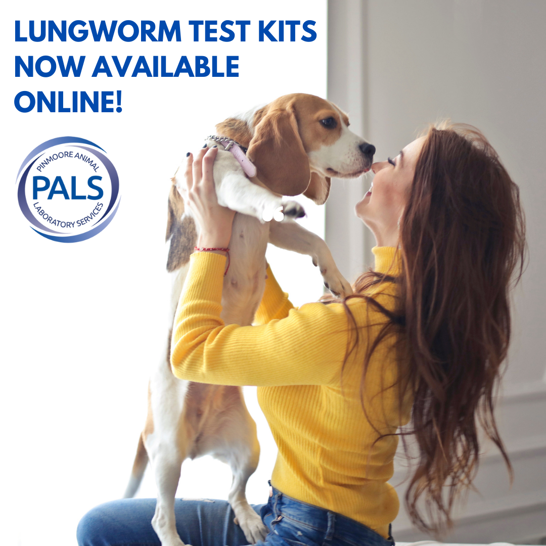 lungworm_test_kit_image